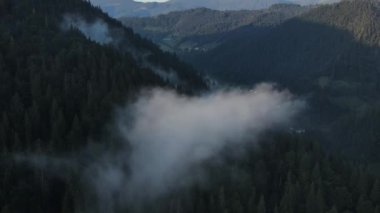 İnanılmaz insansız hava aracı sabah sisi, fantastik dağlar ve güzel yeşil çam ormanı vurdu. Gün doğumunda ya da günbatımında huzur içinde uçmak. Seyahat güzergahı cennet doğa kavramı