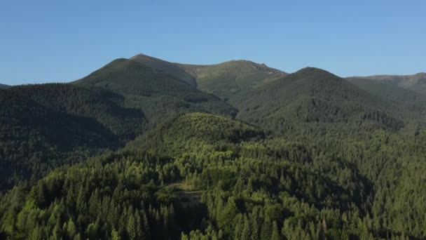 Luchtfoto Drone Uitzicht Zomer Herfst Majestueuze Bergen Landschap Met Groenblijvende — Stockvideo
