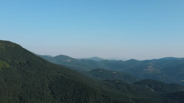 空中无人驾驶飞机在松林上空盘旋 美丽的夏秋平静的群山映衬着蓝天的背景 为旅游和流浪欲望概念进行的公园探索和旅游目的地 — 图库视频影像