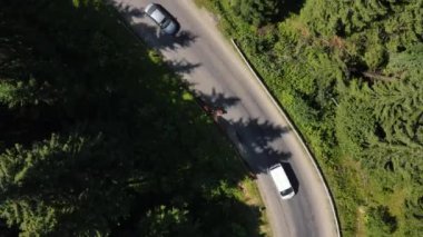 Güneşli yaz gününde yeşil çam ormanı yakınlarındaki dağ yolundan geçen güzel at ve arabaların hava aracı görüntüsü. Özgürlük özgürlüğü seyahat hedefi ve vahşi doğa konsepti