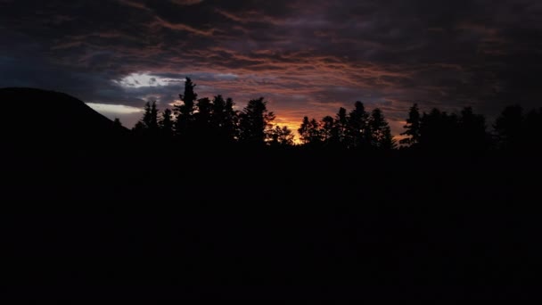 Вдохновляющий Удивительный Природный Чудо Аэродрон Сделал Снимок Силуэта Леса Время — стоковое видео