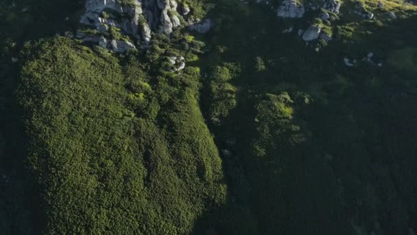 Colpo Drone Aereo Cinematografico Grandi Pietre Verde Paesaggio Pineta Estate — Video Stock