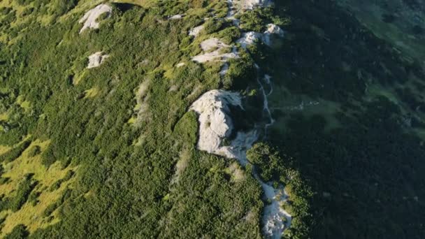 Luchtfoto Drone Beelden Van Natuurlijke Prachtige Rotsformaties Groen Dennenbos Tijdens — Stockvideo