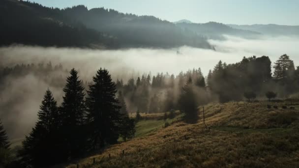 Wolken Rollen Bossen Inspirerende Zwerflust Bestemming Concept Epische Beelden Van — Stockvideo