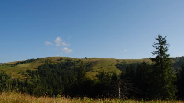 Widok Tyłu Młodego Białego Człowieka Spacerującego Trawie Pięknych Górach Podnosi — Wideo stockowe