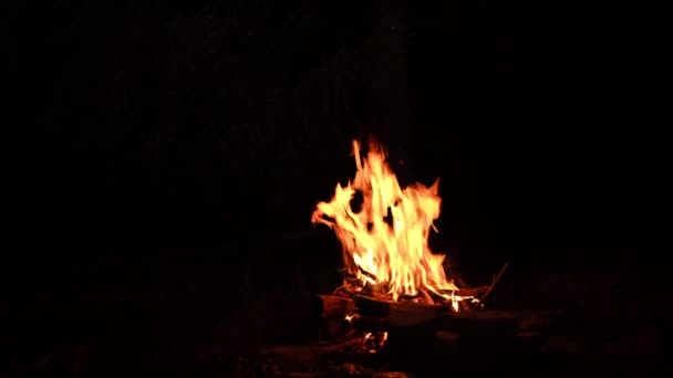 Zbliżenie Płomienny Piękny Ognisko Nocy Spokojny Jesienny Las Statyczny Strzał — Wideo stockowe