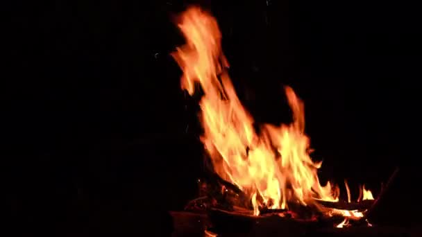 Sluiten Van Felle Vlam Brandend Kampvuur Het Donker Achtergrond Van — Stockvideo