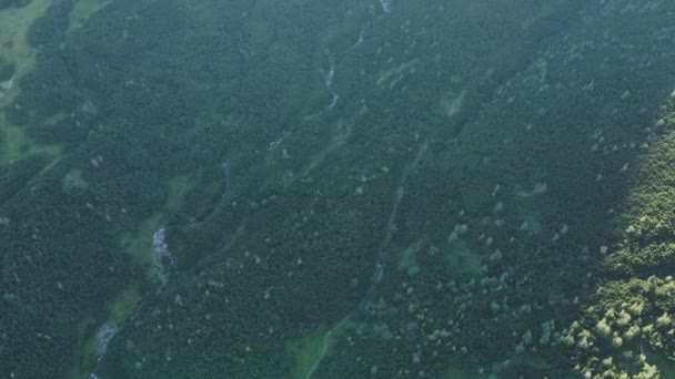 Bovenaanzicht Van Bergwater Rivier Luchtfoto Van Bossen Drone Vliegen Dennenbomen — Stockvideo