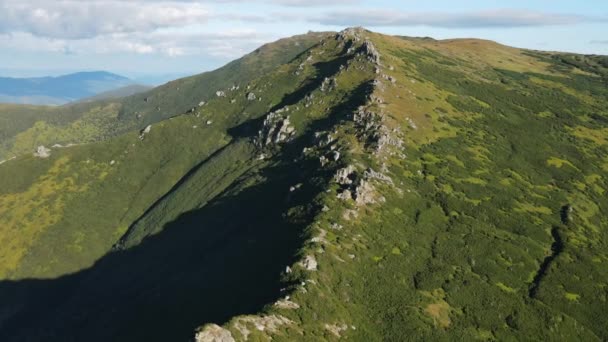 Foto Aérea Cinematográfica Cumbre Montaña Pico Con Bosque Pinos Piedras — Vídeo de stock