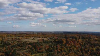 Ağaçların insansız hava aracı manzarası sonbahar vahşi tepelerini kaplıyor. Güneşli bir günde sonbahar orman manzarası uçuşları. Yaprak döken ağaçlar. Sağlıklı olmak için açık hava yaşam tarzı