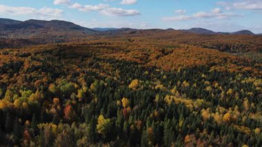 Güzel sonbahar dağlarının ve sıcak bir sabahta mavi gökyüzünün havadan görünüşü. Güneşli bir günde manzaralı inanılmaz renkli sonbahar ormanı. Gezgin şehvet, doğa konsepti