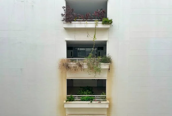 Balcony Building Weeds Beautiful — Stock Photo, Image