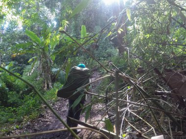 A walk in the forest where you have to carry your own backpack.