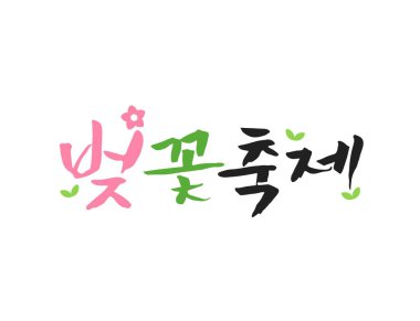 İlkbahar Kaligrafi İfadeleri (çeviri: kiraz çiçeği festivali) )