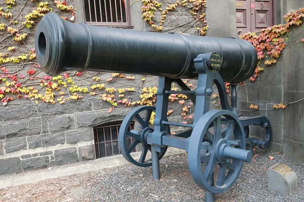 Melbourne Autriche Janvier 2016 Canon Russe Capturé Par Armée Britannique — Photo