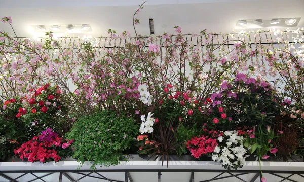 "America the beautiful" theme flower decoration during famous Macy's Annual Flower Show in the Macy's Herald Square — Stock Photo, Image