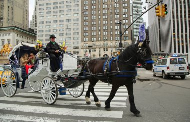 İnsanlar Manhattan'daki Central Park yakınlarında araba sürmenin tadını çıkarıyorlar..
