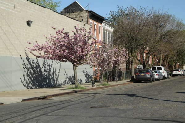 Calle Cobblestone en el barrio de Red Hook en Brooklyn, Nueva York —  Fotos de Stock