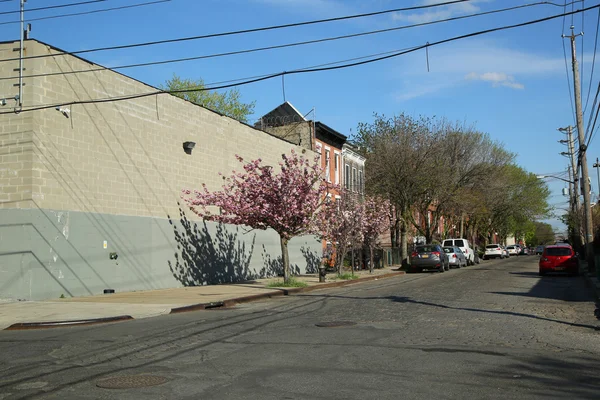 Brooklyn, New York Red Hook mahallede Arnavut kaldırımı sokak — Stok fotoğraf