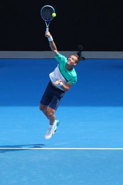 Eylem sırasında onun çeyrek final maçında Avustralya Açık 2016, profesyonel tenis oyuncusu Tomas Berdych Çek Cumhuriyeti