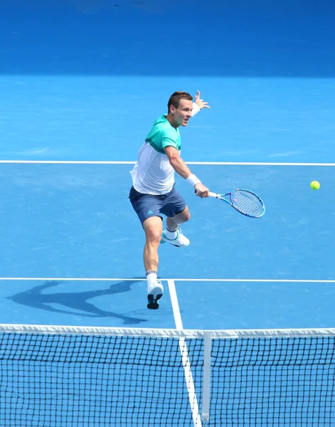 Επαγγελματίας παίκτης του τένις Τόμας Μπέρντιχ της Τσεχικής Δημοκρατίας σε δράση κατά τη διάρκεια προημιτελικό αγώνα του στο Αυστραλιανό Open 2016 — Φωτογραφία Αρχείου