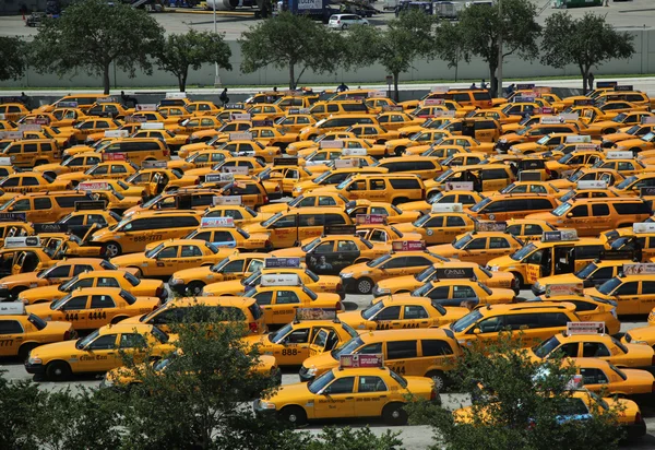 Taxis jaunes à l'aéroport international de Miami — Photo