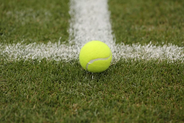 Tennis ball on grass tennis court — Stock Photo, Image