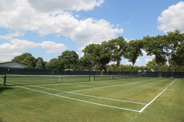 Terrains de tennis en herbe — Photo