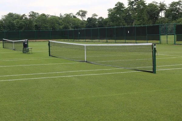 Terrains de tennis en herbe — Photo