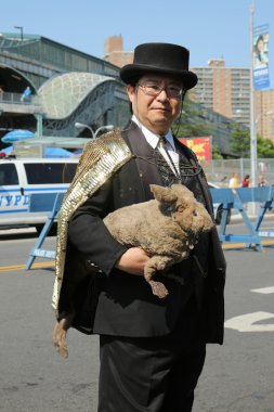 Katılımcılar Mart ayında 34 yıllık Mermaid Parade