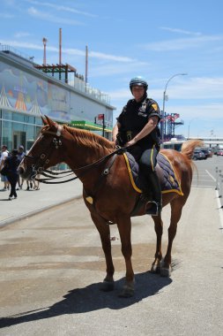 New York Polis Teşkilatı birimi monte polis memuru Brooklyn'de Coney Adası'nda güvenlik sağlama