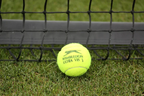 Slazenger wimbledon tennisboll på gräs tennisbana — Stockfoto