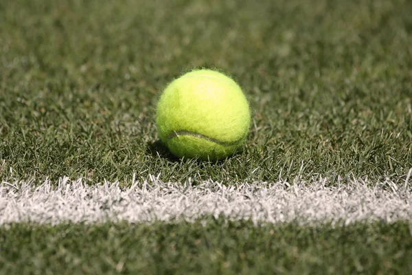 Tennis ball on grass tennis court — Stock Photo, Image