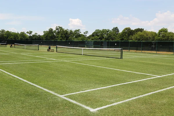 Hierba pistas de tenis —  Fotos de Stock