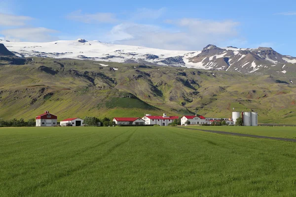 İzlanda'daki tipik çiftlik — Stok fotoğraf