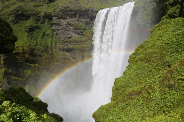 Regnbåge över Skogafoss vattenfall på Island — Stockfoto