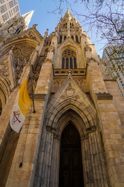 Nowy Rok Listopad 2020 Katedra Patryka Nowym Jorku — Zdjęcie stockowe
