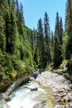 Banff Ulusal Parkı 'ndaki Johnston Kanyonu 