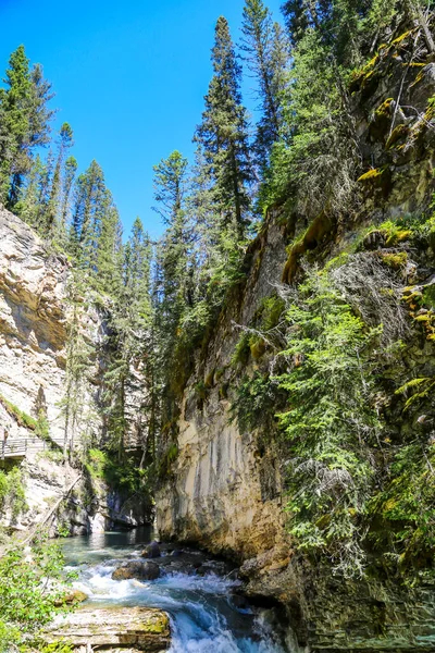 Kanion Johnston Parku Narodowym Banff — Zdjęcie stockowe