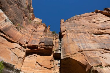 Utah 'taki Zion Ulusal Parkı' nda jeolojik oluşumlar
