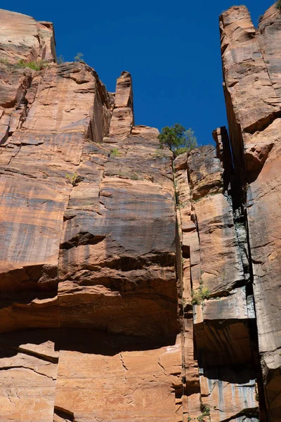 Utah Taki Zion Ulusal Parkı Nda Jeolojik Oluşumlar — Stok fotoğraf