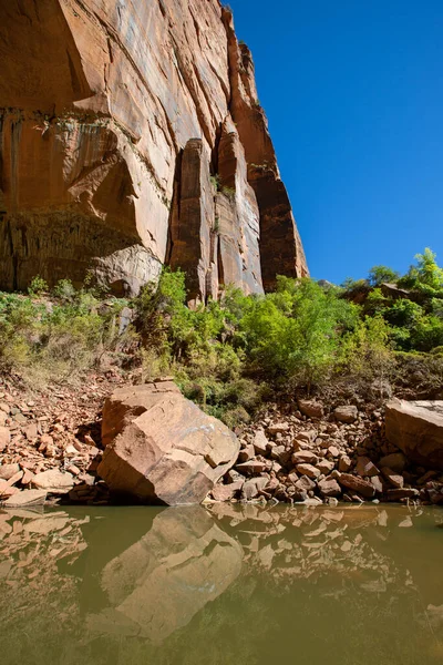 Formaciones Geológicas Parque Nacional Zion Utah —  Fotos de Stock