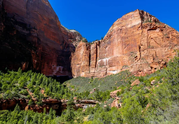 Formazioni Geologiche Nel Parco Nazionale Zion Nello Utah — Foto Stock