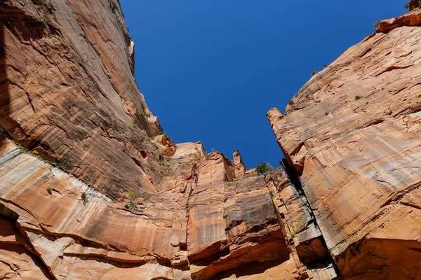 Formacje Geologiczne Parku Narodowym Syjon Utah — Zdjęcie stockowe