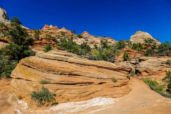 Formazioni Geologiche Nel Parco Nazionale Zion Nello Utah — Foto Stock