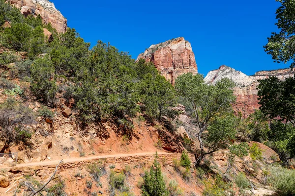 Formazioni Geologiche Nel Parco Nazionale Zion Nello Utah — Foto Stock