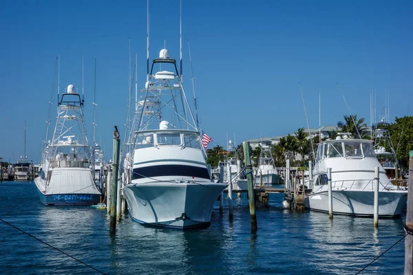 West Palm Beach Florida March 2018 Sailboats Yachts Sailfish Marina — Stock Photo, Image