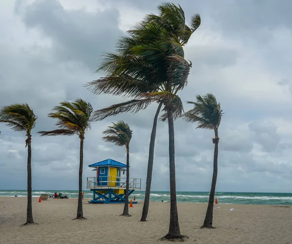 Hollywood Beach Lifeguard Station Süden Floridas Die Strandpromenade Mit Palmen — Stockfoto