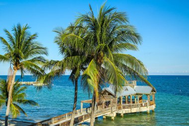 Key West, Florida 'da okyanus taraçası