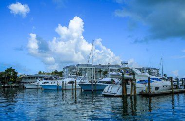KEY BATI, FLORIDA - 1 Haziran 2016: Key West Bight Marina 'da yatlar ve yelkenliler 